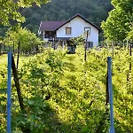 Nia * Bihac