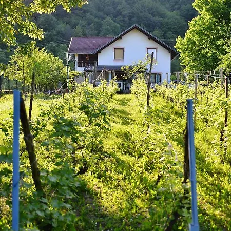 Nia * Bihać