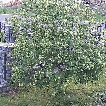 Dom wakacyjny Nia Bihać