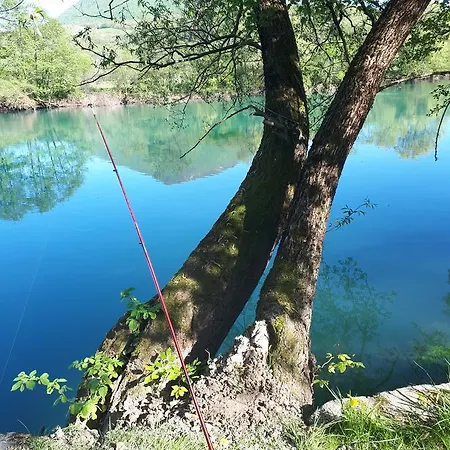 Nia Bihać